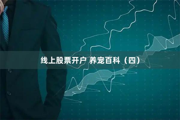 线上股票开户 养宠百科（四）